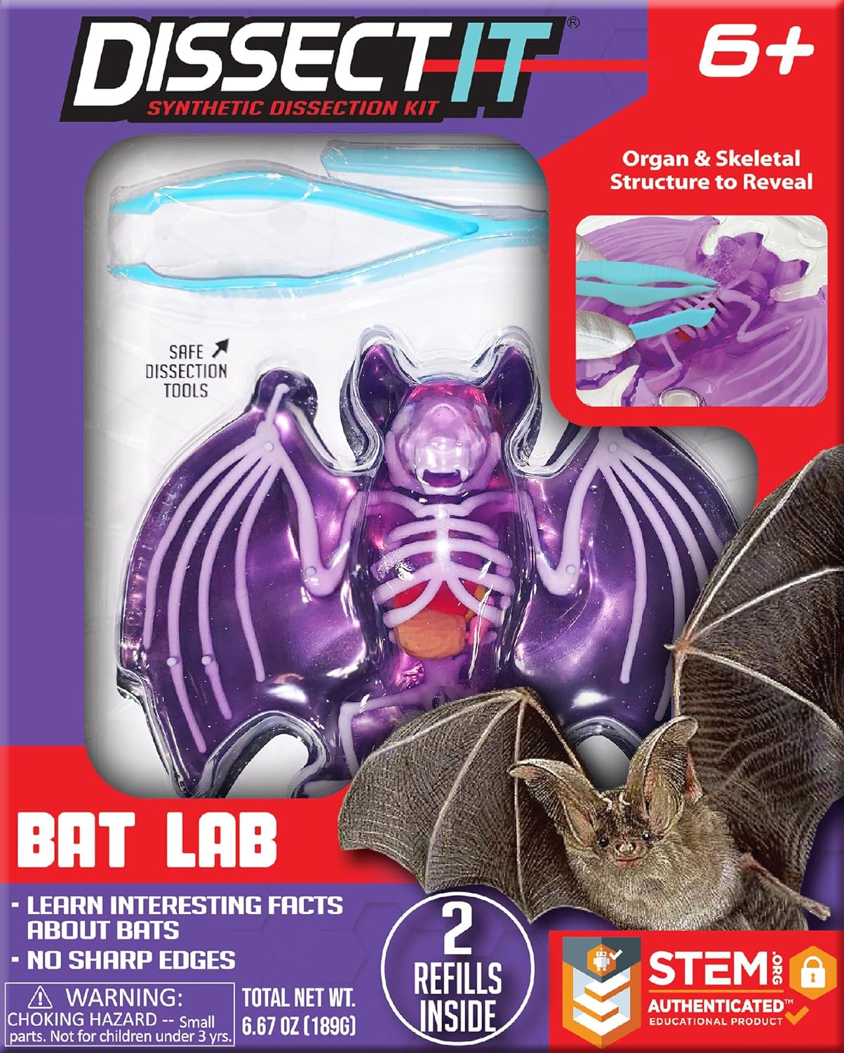 DISSECT IT - Bat — Skulls Unlimited International, Inc.