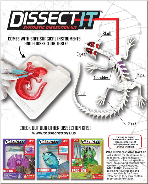Simba Scout Dissect-It - Rana da sezionare, 16 cm, Scheletro e organi da assemblare, Set di Ricarica di Attrezzi, dai 5 Anni in su Simba Scout Dissect-It - Rana da sezionare, 16 cm, Scheletro e organi da assemblare, Set di Ricarica di Attrezzi, dai 5 Anni in su