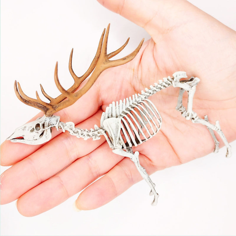 Red Deer Skeleton Replica - 1:18 Scale