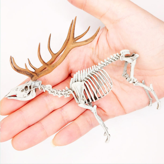 Red Deer Skeleton Replica - 1:18 Scale