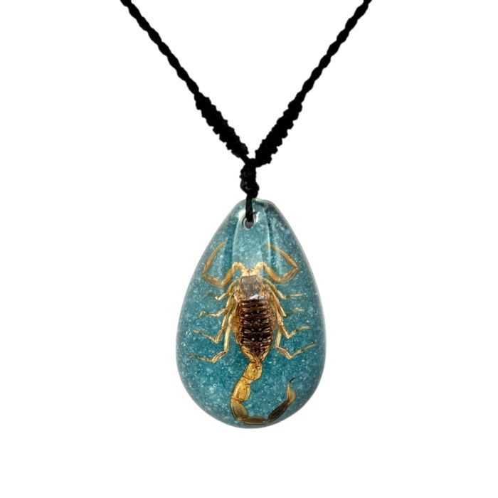 Real Golden Scorpion in Teardrop Acrylic Necklace