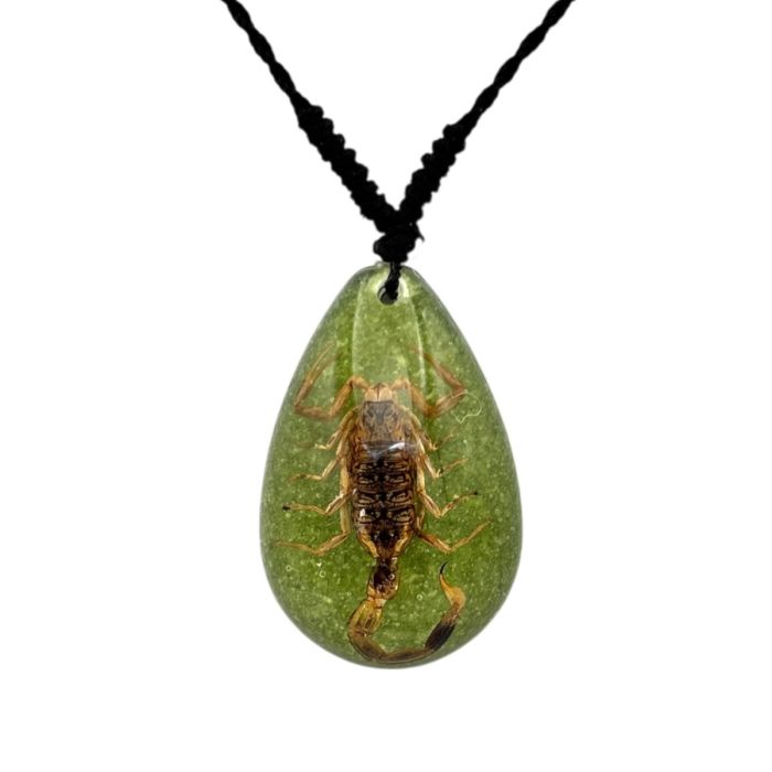 Real Golden Scorpion in Teardrop Acrylic Necklace