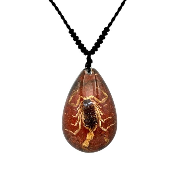 Real Golden Scorpion in Teardrop Acrylic Necklace