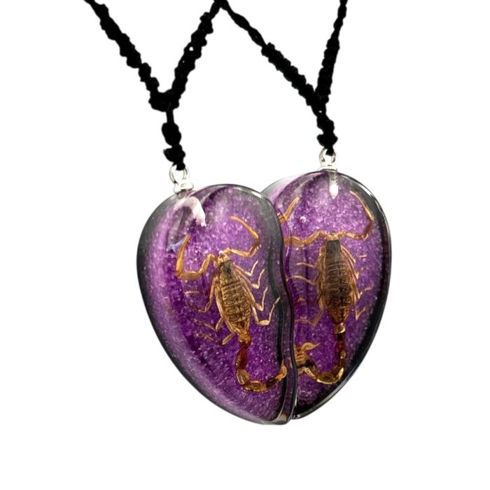 Real Golden Scorpion in Half Heart Acrylic Necklace