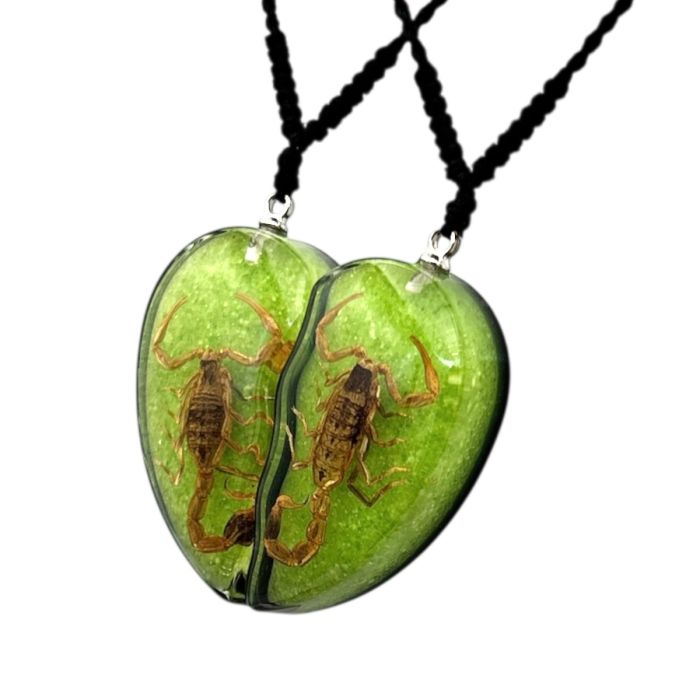 Real Golden Scorpion in Half Heart Acrylic Necklace