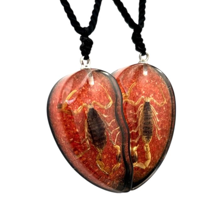 Real Golden Scorpion in Half Heart Acrylic Necklace