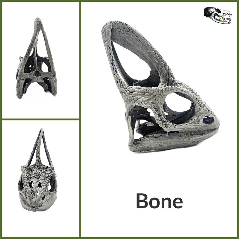 Chameleon Skull Replica - 1:1 Scale