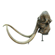 Replica Woolly Mammoth Skull with Tusks