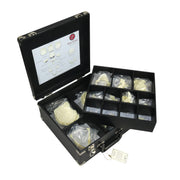 Repilca Human Medical Study Skull - Disarticulated