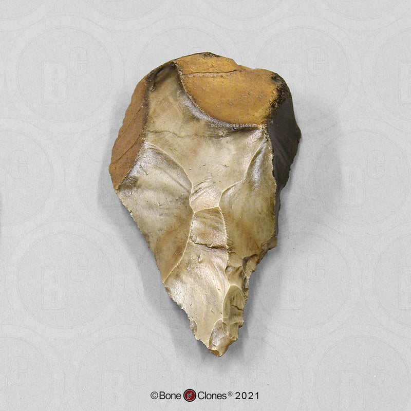 Replica Fossil Hominid Tool Banded Flint Hand-Axe