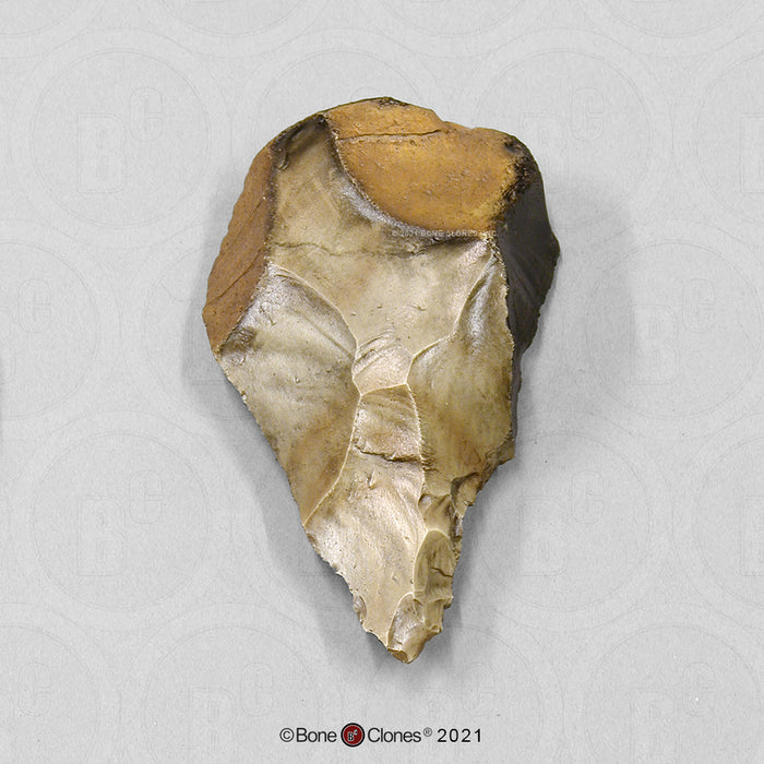 Replica Fossil Hominid Tool Banded Flint Hand-Axe