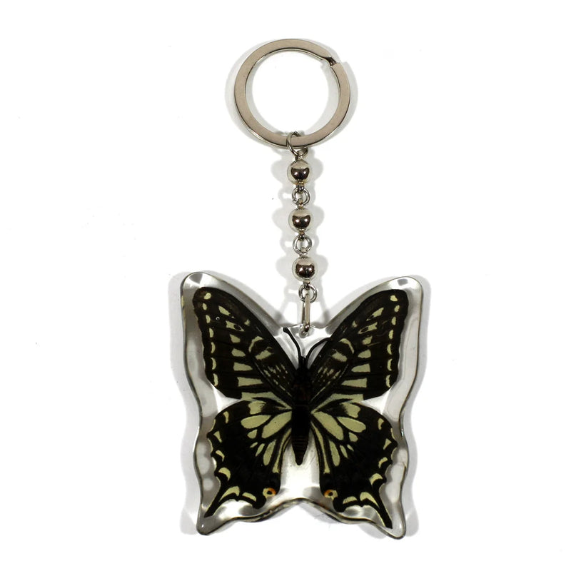 Real Asian Swallowtail Butterfly in Acrylic Keychain