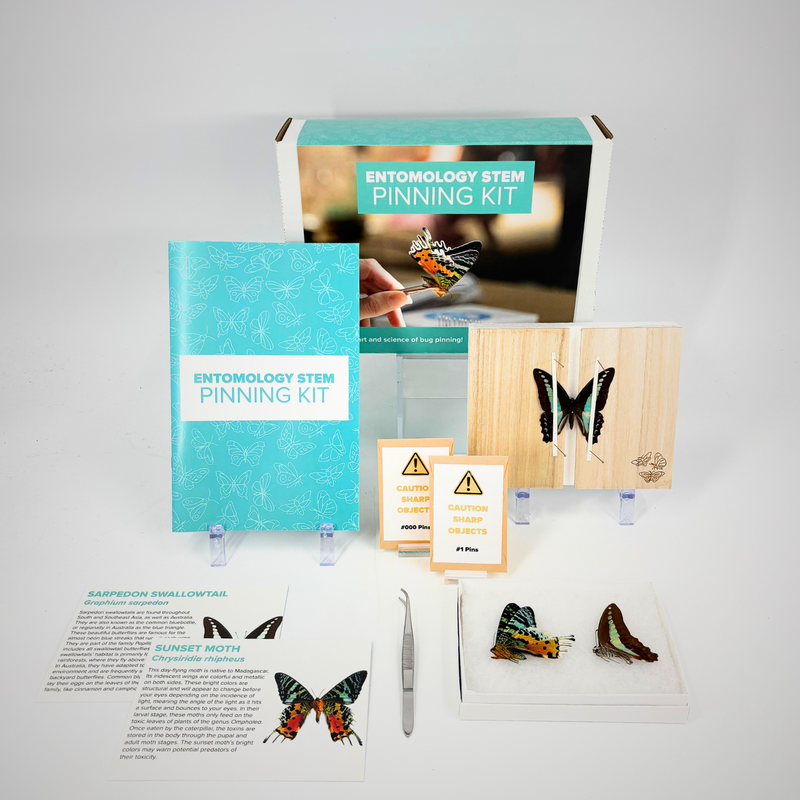 Entomology STEM Pinning Kit