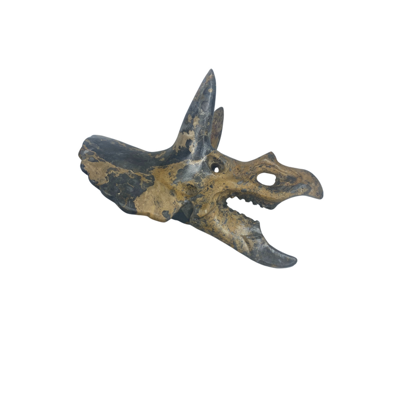 Carved Gemstone Triceratops Skull