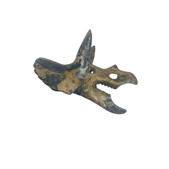 Carved Gemstone Triceratops Skull