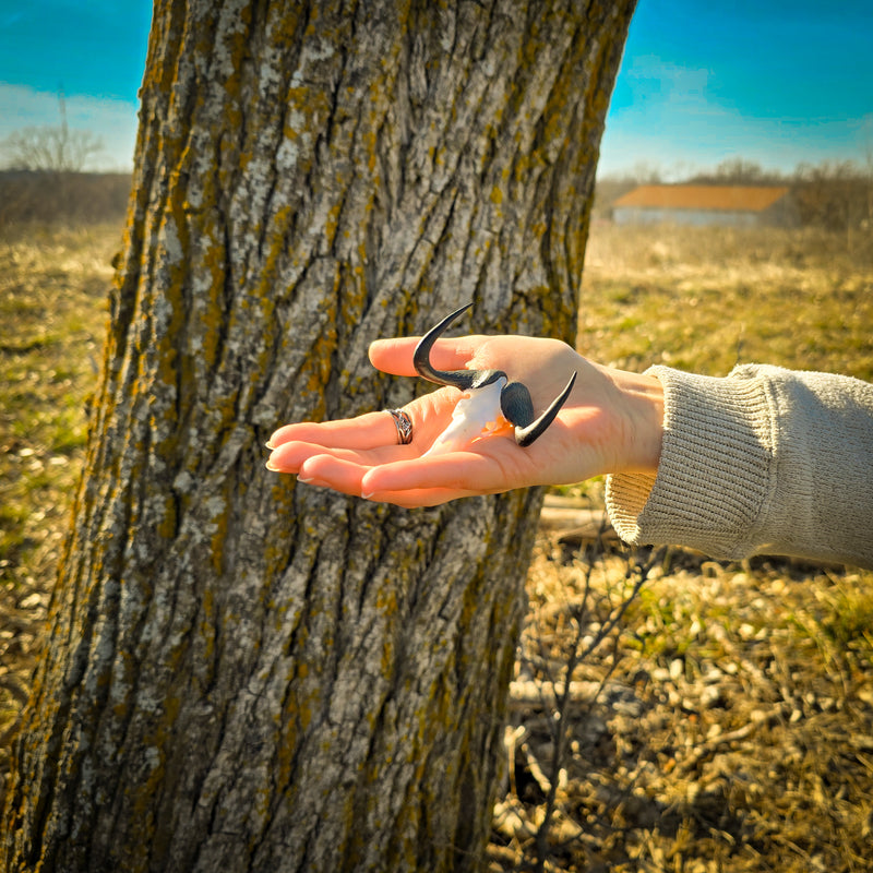 SKULLIES - Miniature Black Wildebeest Skull