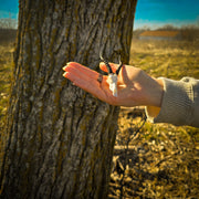 SKULLIES - Miniature Blesbok Skull