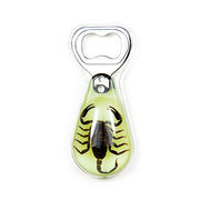 Real Black Scorpion in Acrylic Bottle Opener
