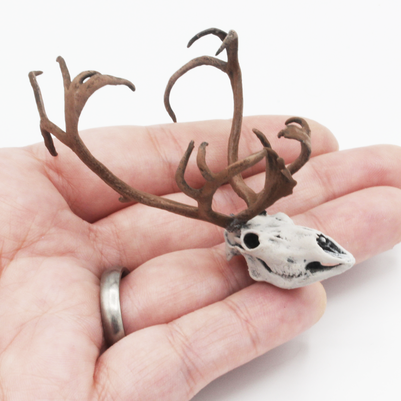 Reindeer / Caribou Skull Replica - 1:12 Scale