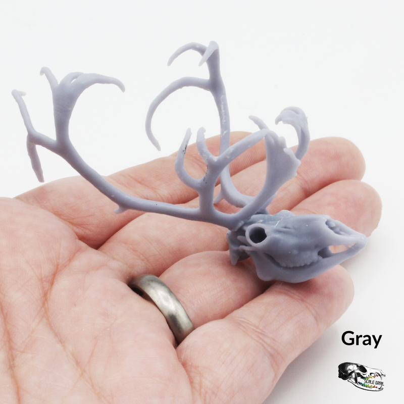 Reindeer / Caribou Skull Replica - 1:12 Scale
