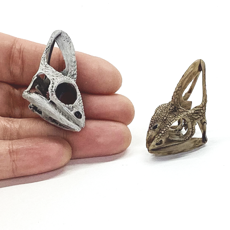 Chameleon Skull Replica - 1:1 Scale