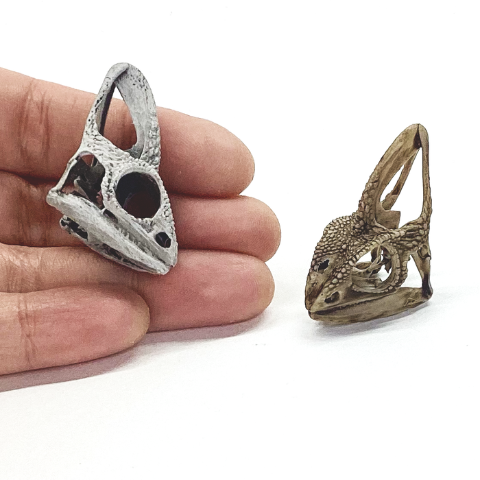 Chameleon Skull Replica - 1:1 Scale
