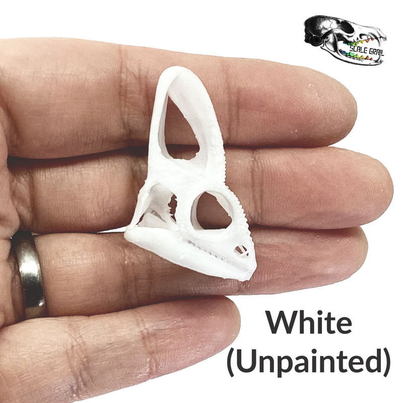 Chameleon Skull Replica - 1:1 Scale