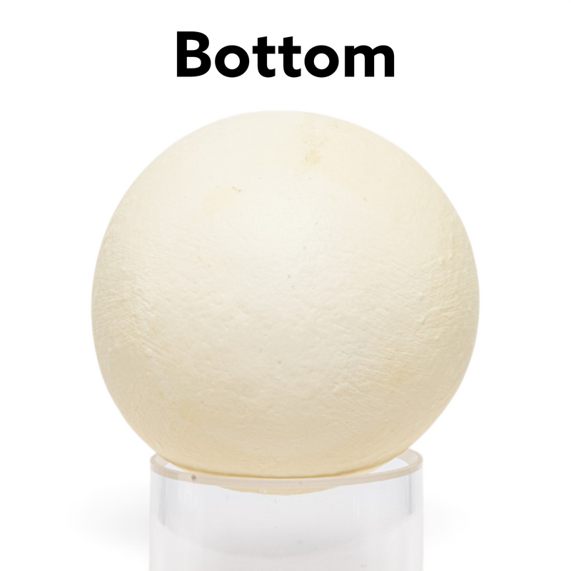 Replica King Penguin Egg (101.8 mm)