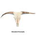 Real Longhorn Skull - Standard Quality