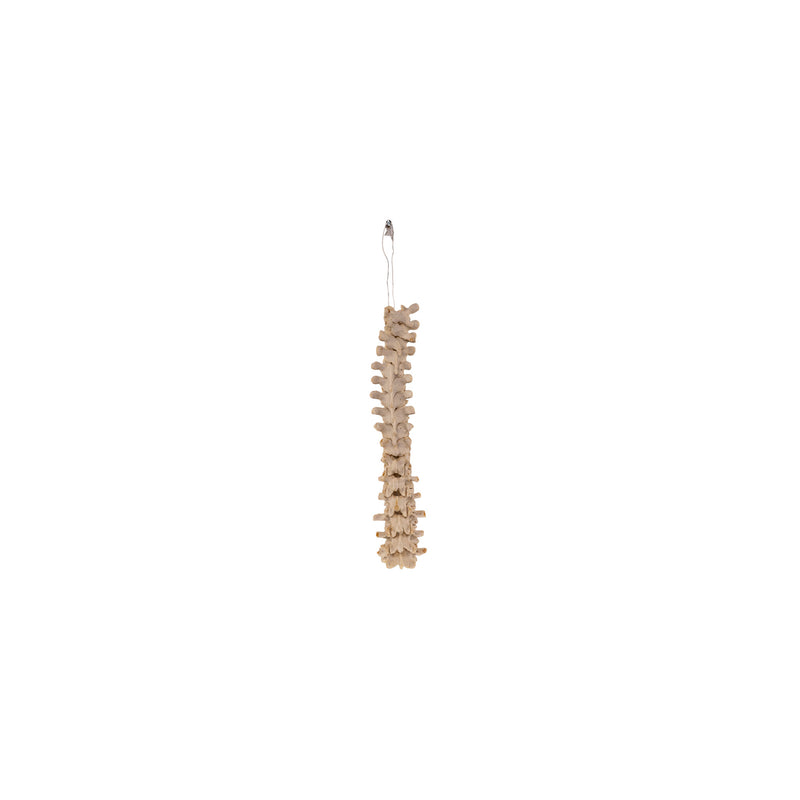 Real Loosely Strung Human Spine - Partial