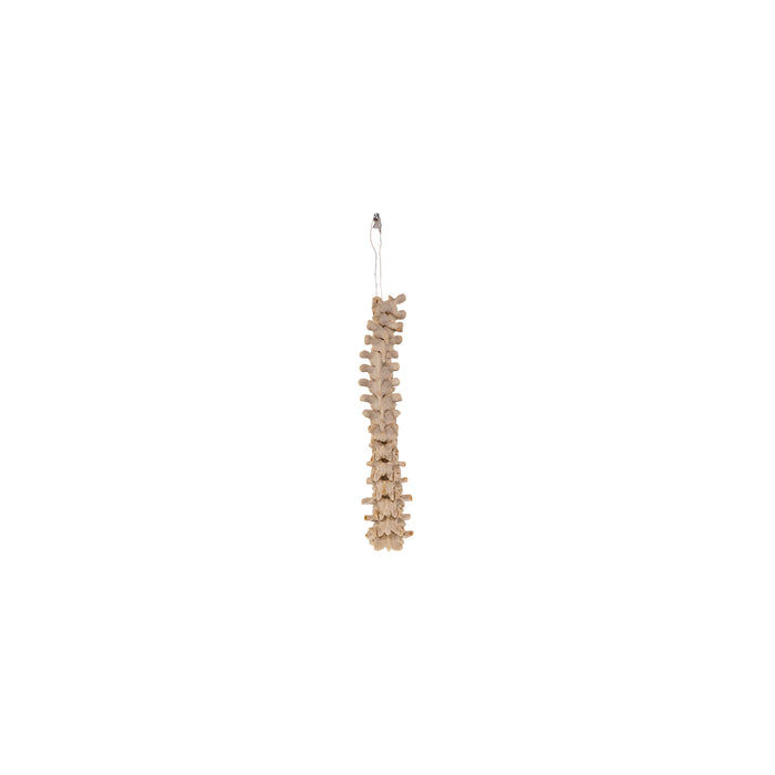 Real Loosely Strung Human Spine - Partial