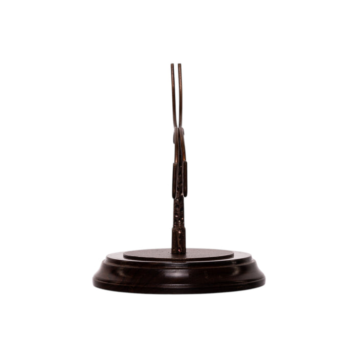 Human Skull Display Stand