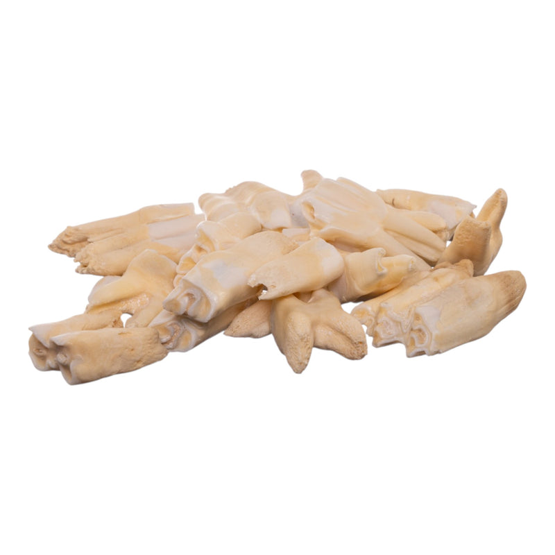 Real Bag-O Domestic Cow Teeth