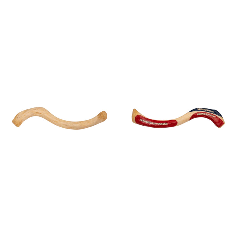 Real Human Clavicle Comparative Set
