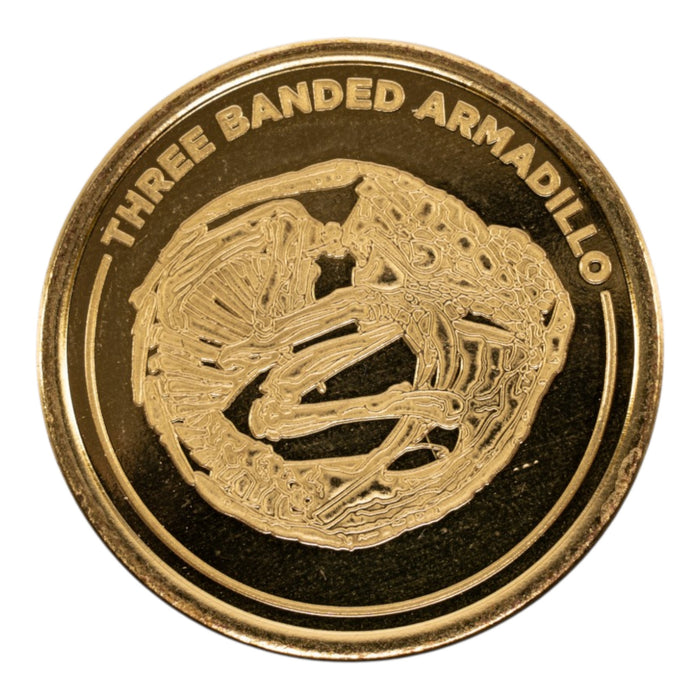 SKELETONS: Museum of Osteology Golden Medallion Coin