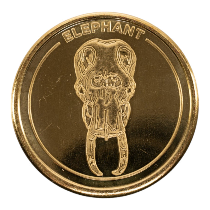 SKELETONS: Museum of Osteology Golden Medallion Coin