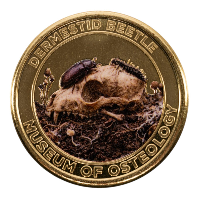 SKELETONS: Museum of Osteology Golden Medallion Coin