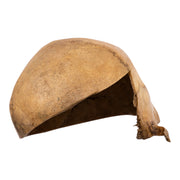 Real Human Calvaria