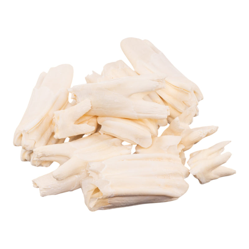 Real Bag - O Longhorn Teeth