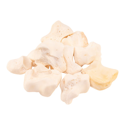 Real Domestic Cow Joint Bones