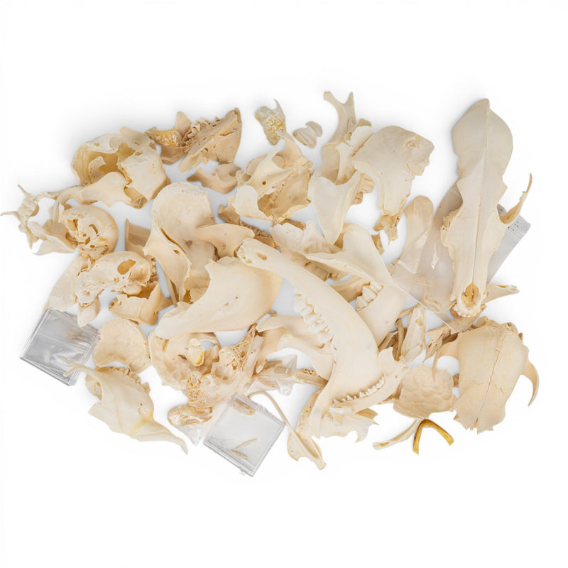 Real Bag-O-Bones