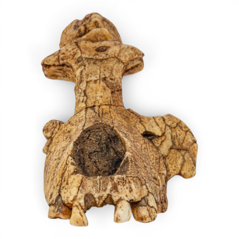 Replica Saadanius hijazensis Skull