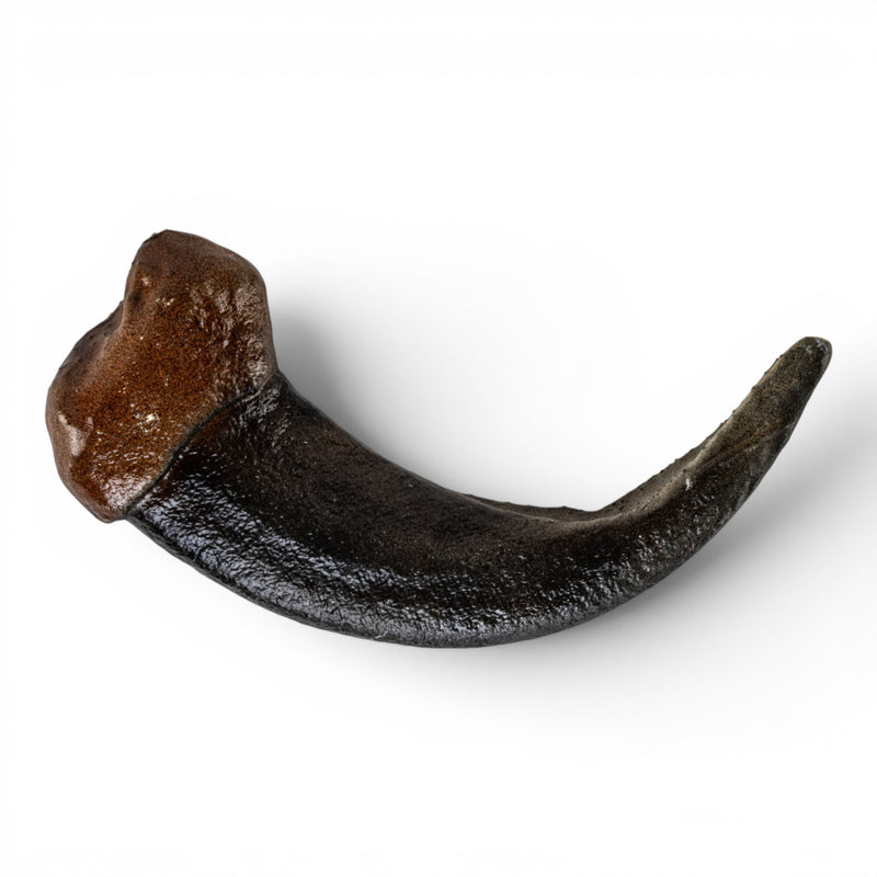 Replica Grizzly Bear Claw