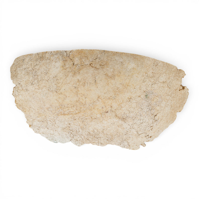 Real Human Partial Calvaria
