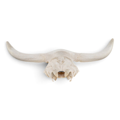 Real Longhorn Skull Plate