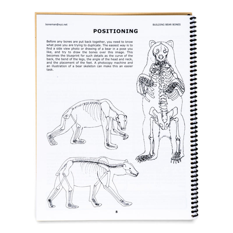 Building Bear Bones Book (Vol. 7)
