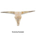 Real Longhorn Skull - Economy Quality