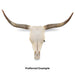 Real Longhorn Skull - Preferred Quality