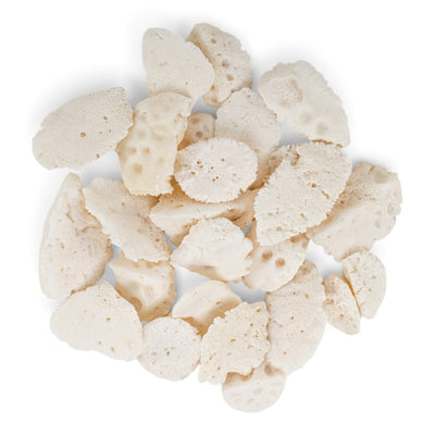 Real Bag-O Alligator Osteoderm