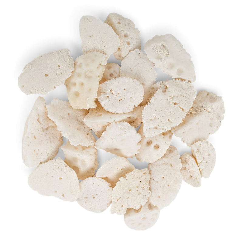 Real Bag-O Alligator Osteoderm